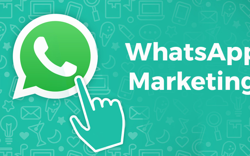 WhatsApp Marketing Solutions